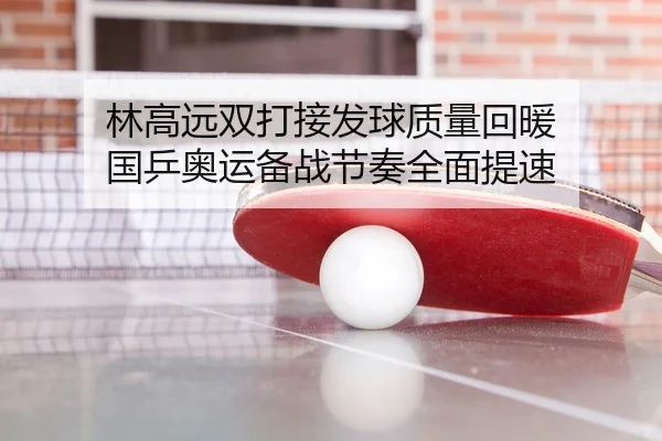 林高远双打接发球质量回暖 国乒奥运备战节奏全面提速